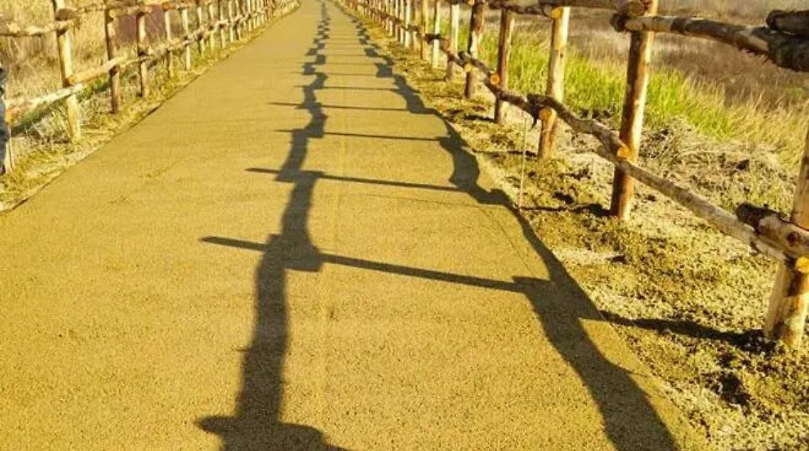 Ciclabile, calpestato il cemento fresco: &laquo;Un gesto di incivilt&agrave;&raquo;