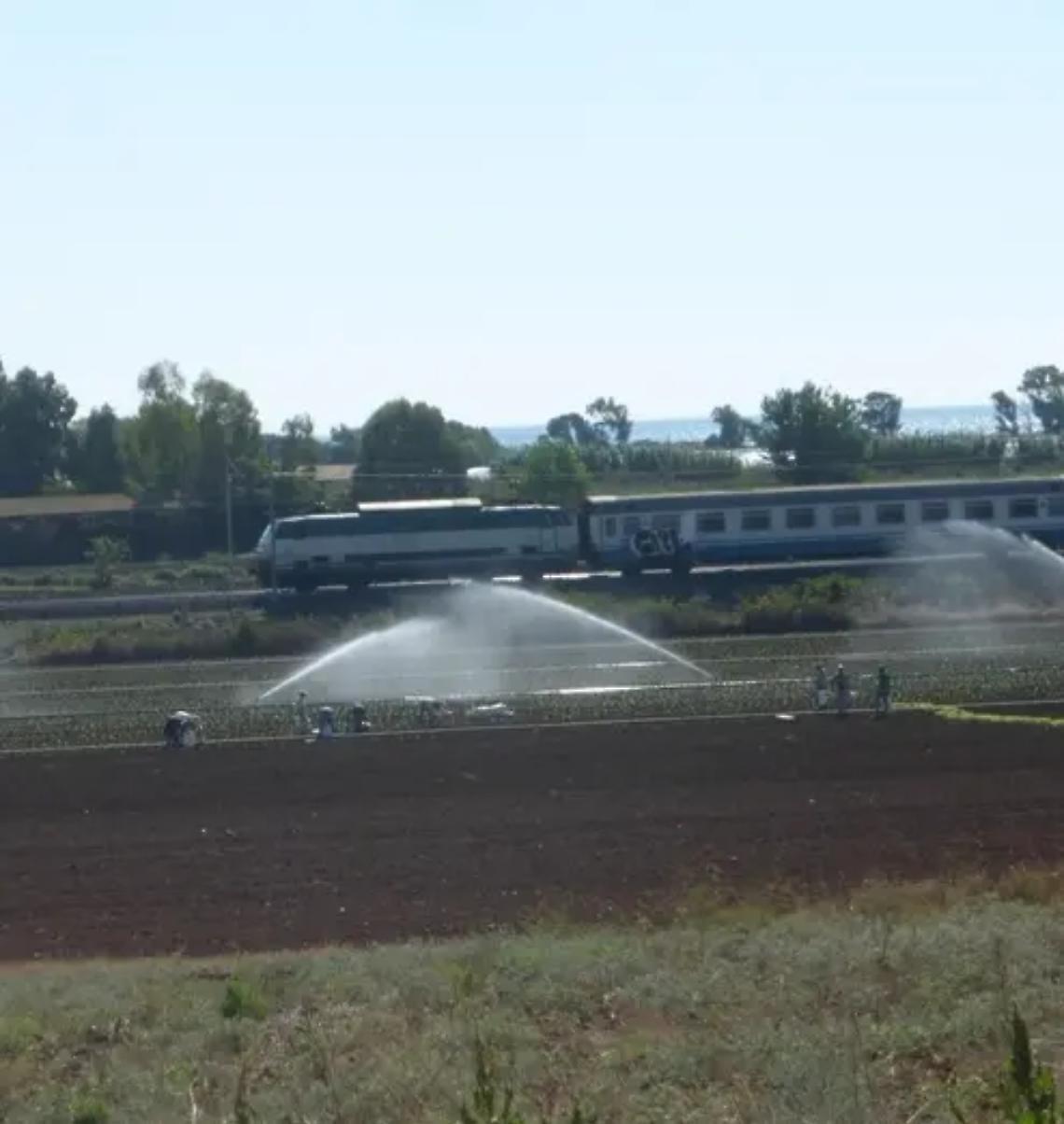 &laquo;Dobbiamo lottare uniti per il futuro dei nostri figli&raquo;