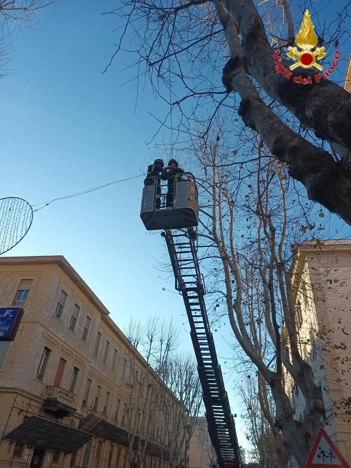 Cavo tranciato e luminaria pericolante: intervento dei Vigili del fuoco