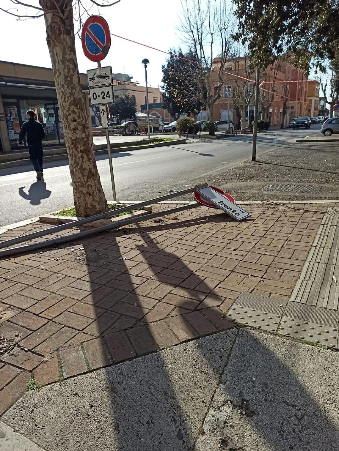 Prosegue la potatura degli alberi
