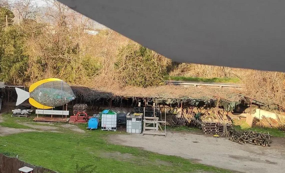 Pesce mangiaplastica, scatta la fotomania nel deposito