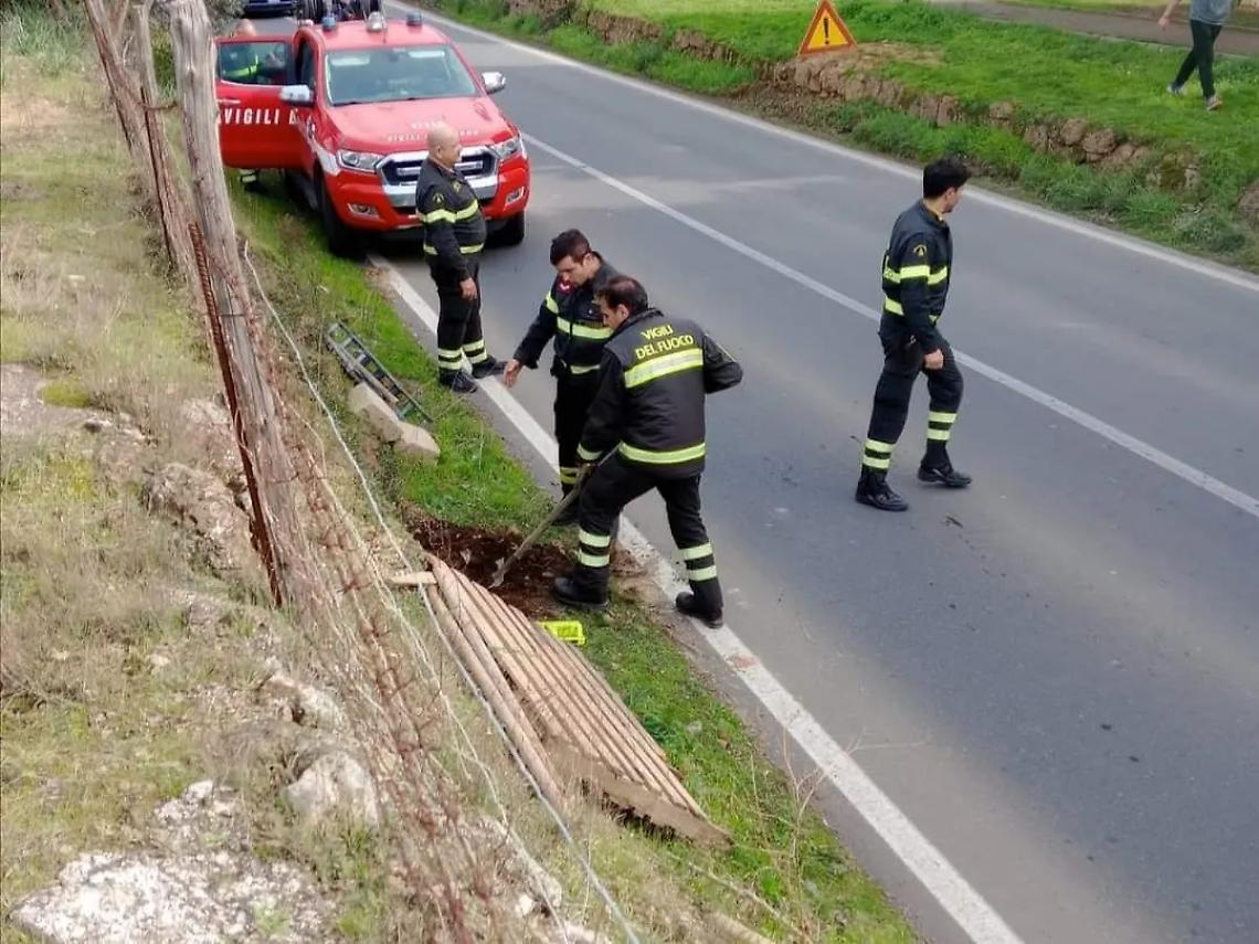 Salvati tre cuccioli rimasti intrappolati
