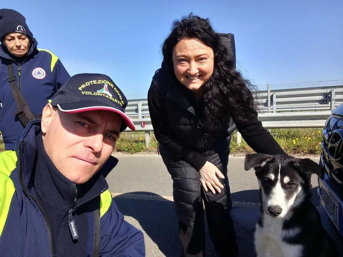 Vagava tra le macchine: cagnolino salvato dalla consigliera Paterna