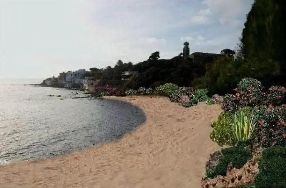&laquo;Piante rare e degne di rispetto nella spiaggia ai piedi di castello Odescalchi&raquo;