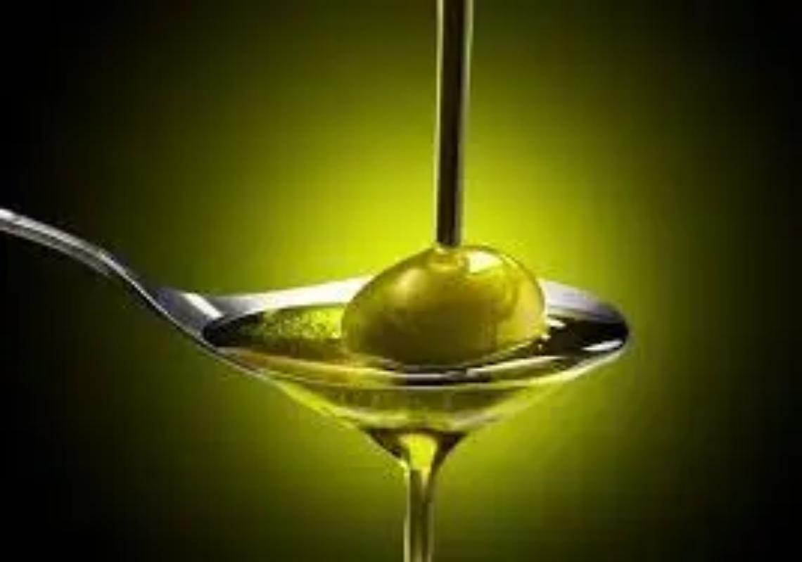 Slow food, al via il corso sull&rsquo;olio extravergine di oliva all'azienda agricola Cerrosughero