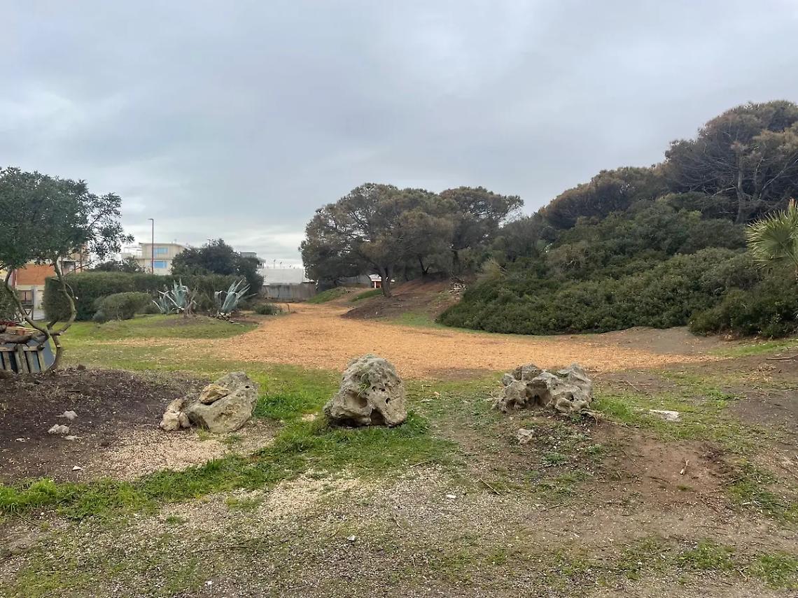 Recuperate le aree verdi a Montalto Marina, la sindaca Socciarelli illustra i risultati ottenuti