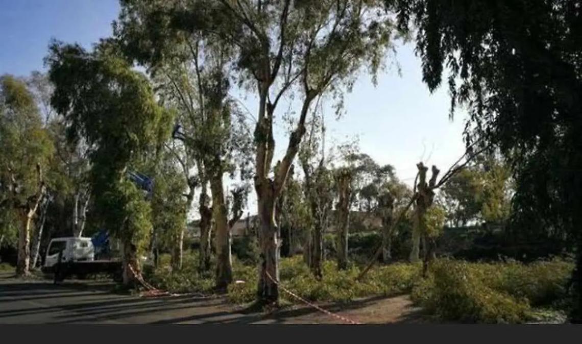 Parco degli Eucalipti, firmato il contratto di comodato tra Rfi e Comune