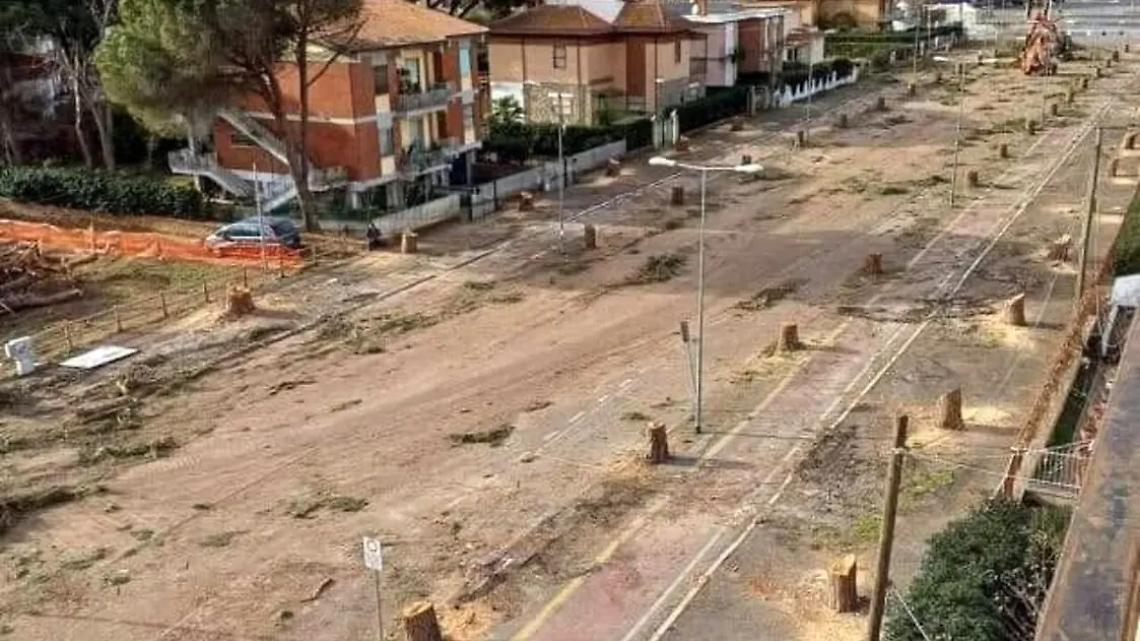 Il Codacons denuncia il sindaco e ne chiede la sospensione delle funzioni