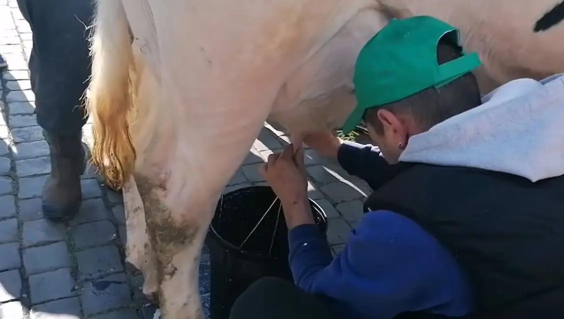 &laquo;Da 9 aziende del latte, ne &egrave; rimasta solo una&raquo;