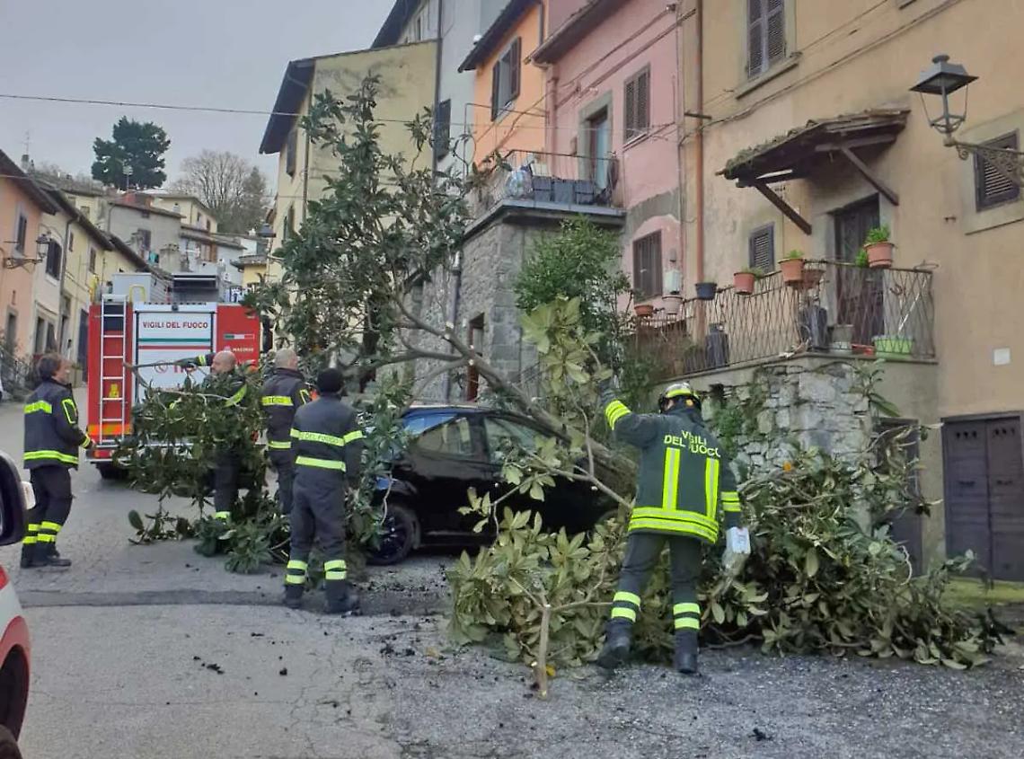 Albero crolla su un&rsquo;auto in sosta