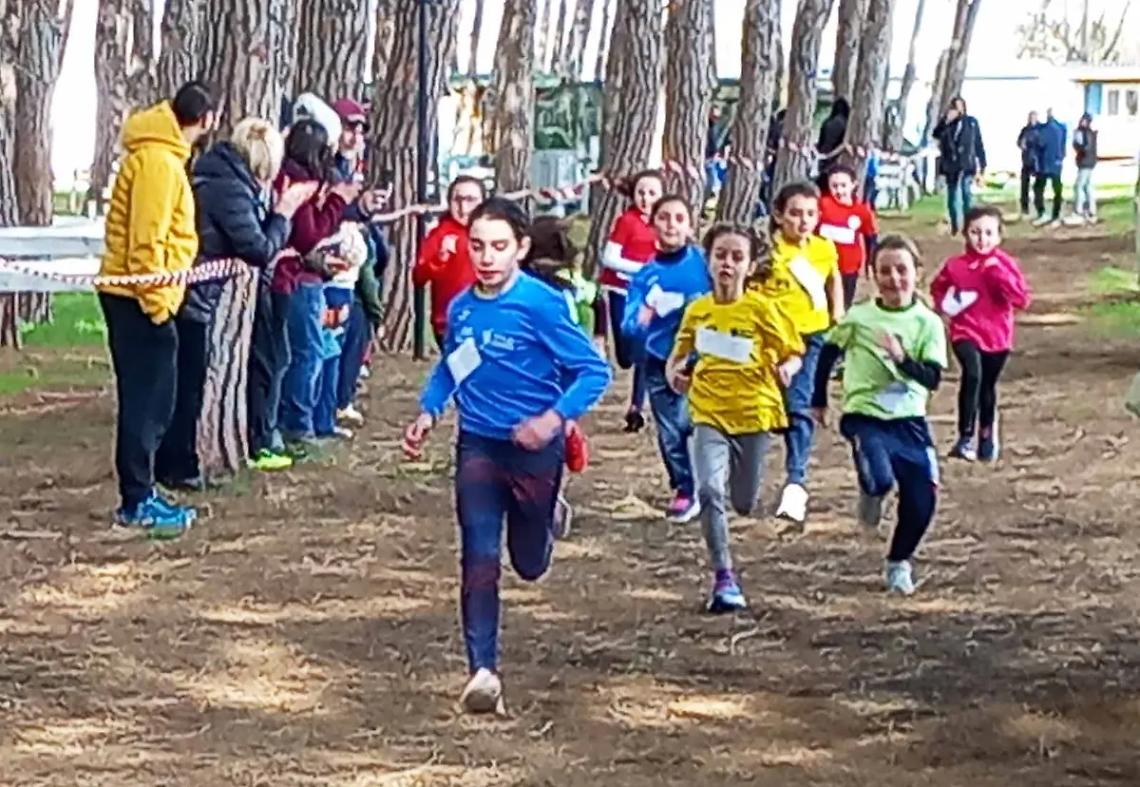 Numerosi podi per gli atleti della Finass Viterbo e dell&rsquo;Atletica Alto Lazio ai campionati provinciali di Cross