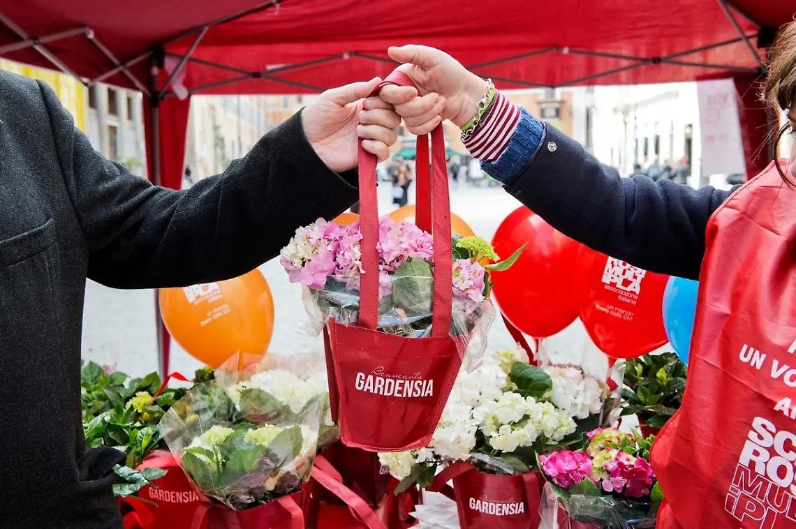 &laquo;Fermiamo la sclerosi multipla con un fiore, anzi due&raquo;