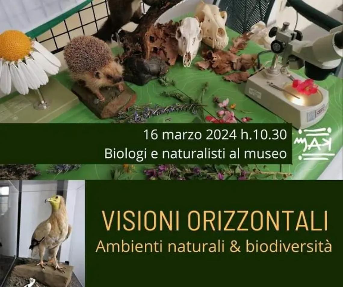 Visioni orizzontali", nuova iniziativa promossa dal museo di Allumiere: un percorso per spostare lo sguardo antropocentrico su funghi, alberi, erbe, muschi e licheni