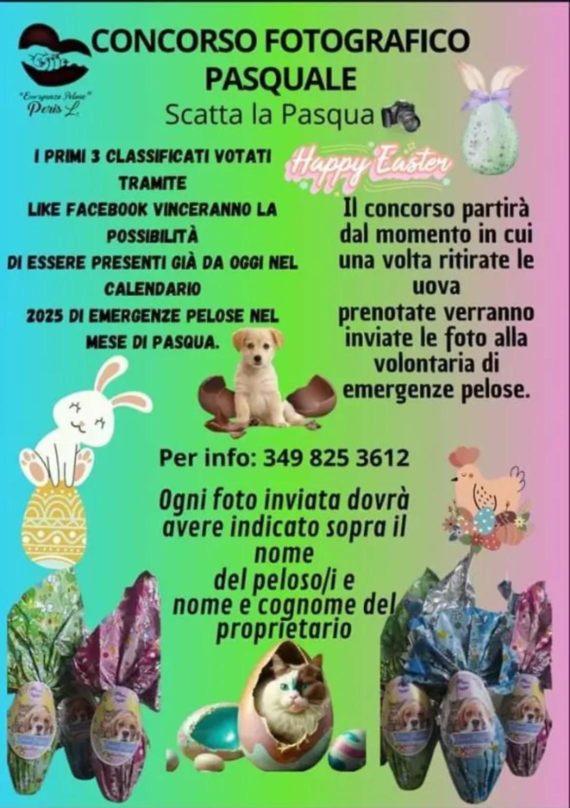 EMERGENZE PELOSE Via al concorso fotografico: &ldquo;Scatta la Pasqua&rdquo;