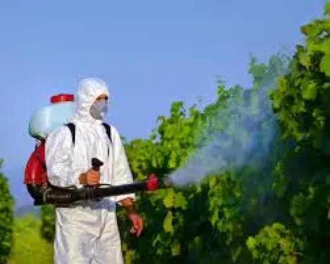 Prodotti fitosanitari: c&rsquo;&egrave; il corso di formazione