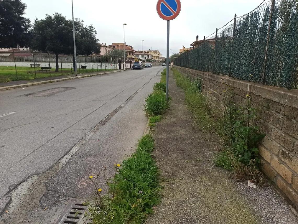 Sterpaglie sui marciapiedi, al via la bonifica