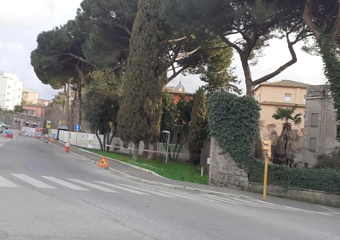 &laquo;Non ci sar&agrave; alcun taglio degli alberi&raquo;