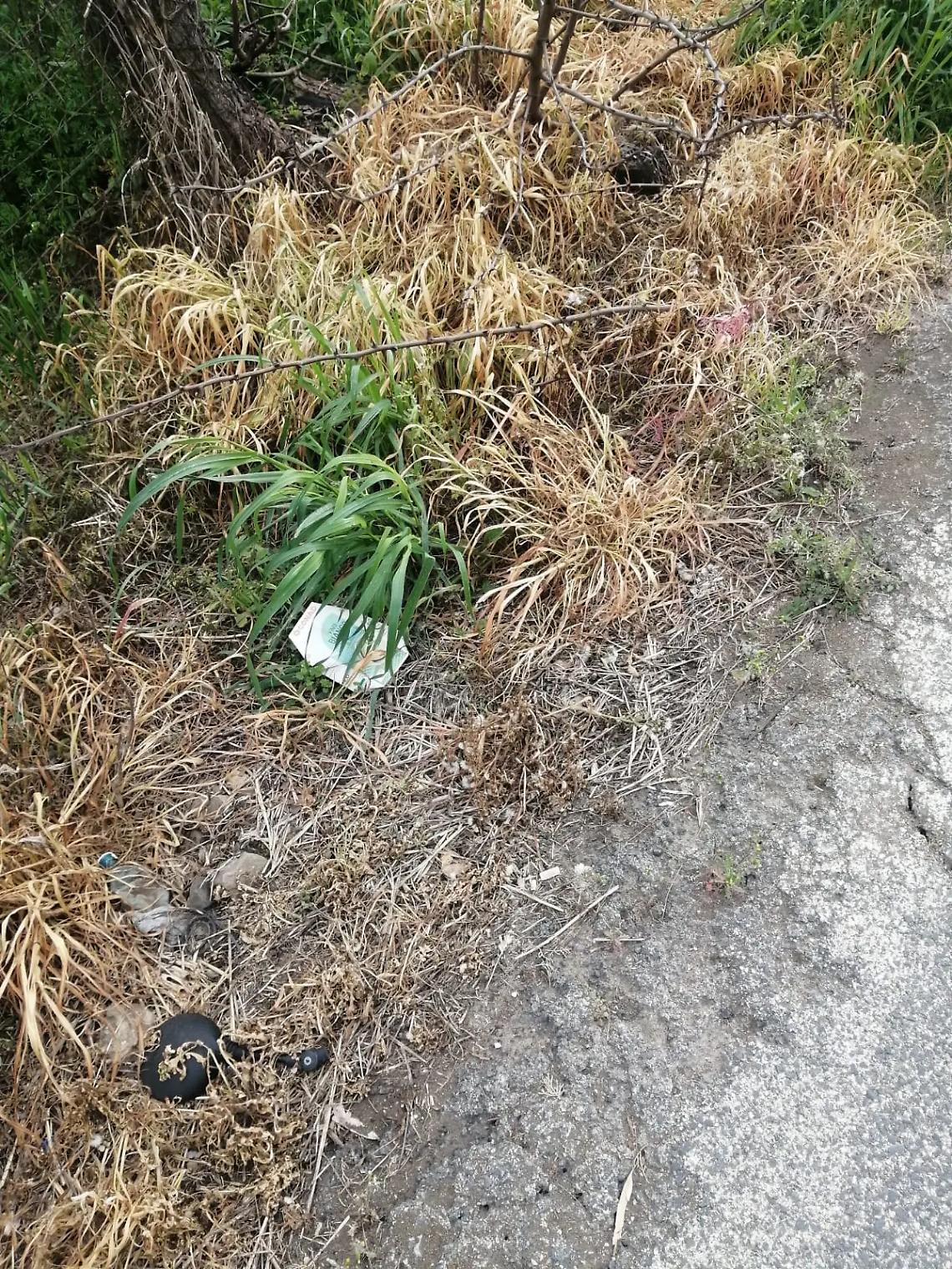 Potente diserbante sul ciglio della strada