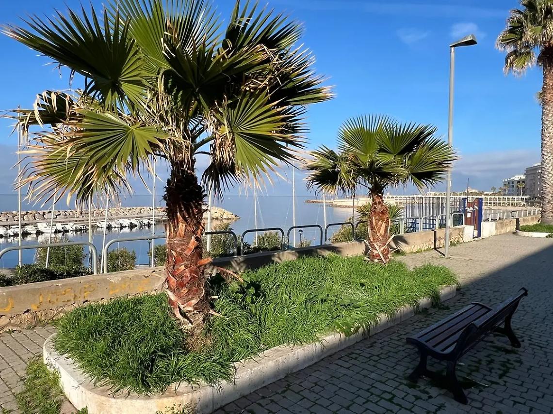 Legalit&agrave;, accessibilit&agrave; e decoro: il comitato Thaon de Revel preoccupato