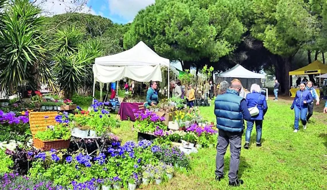 Terme in fiore, la XIII edizione parte con il botto: boom di visitatori nel primo giorno