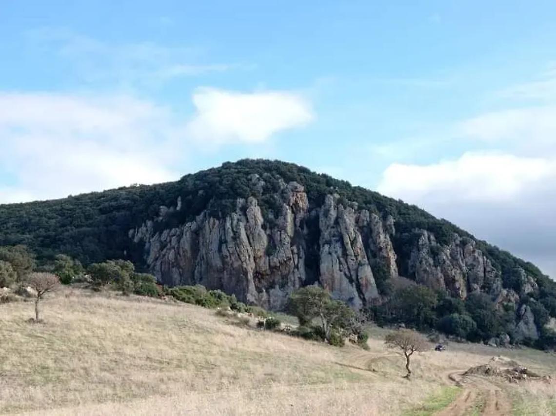 Ripa Maiale tra sporcizia e rifiuti