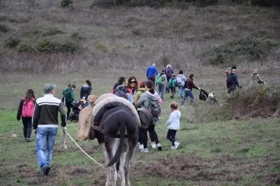 Una Pasquetta a contatto con la natura, tra le bellezze dei Monti della Tolfa