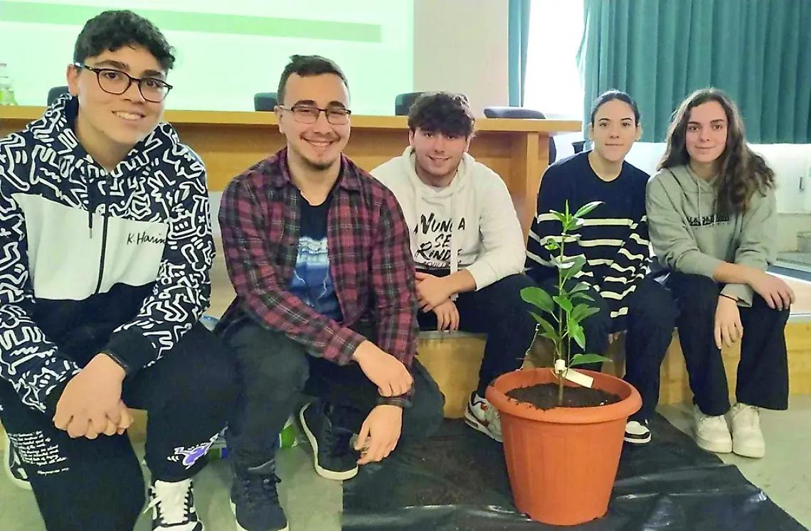 L&rsquo;albero di Falcone trova casa al Liceo Galilei