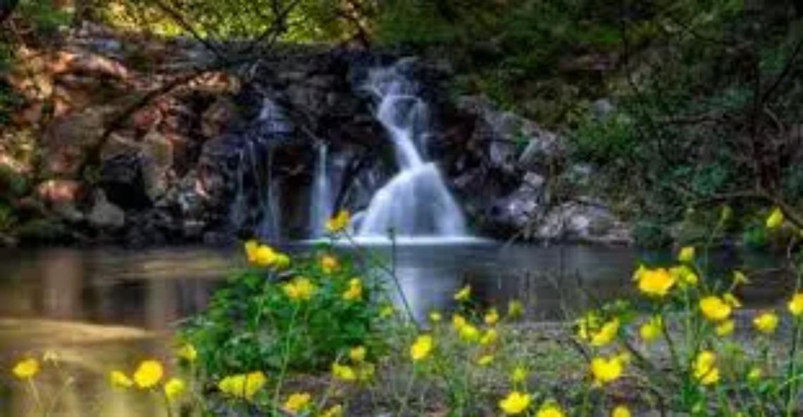 Per Pasqua tornano le &ldquo;Merenne borsenese&rdquo;