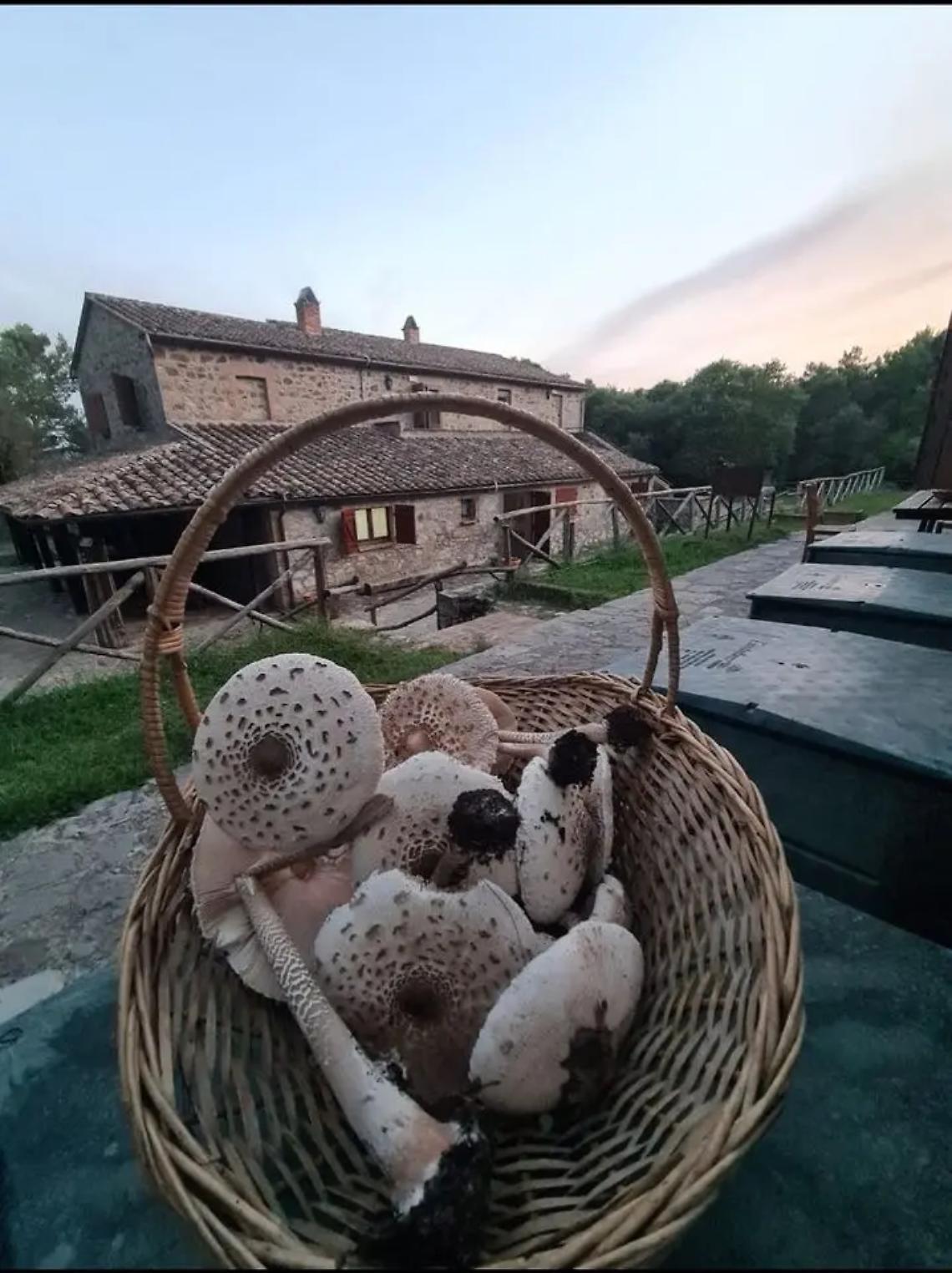 Il Casale Tigna di Alicenova ottiene il certificato Cets