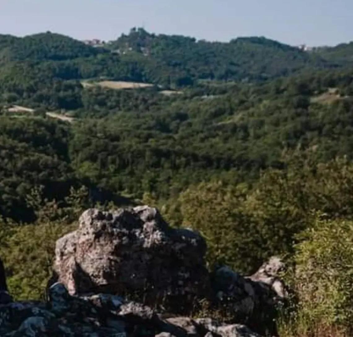 Alla scoperta di antichi tracciati nei monti della Tolfa