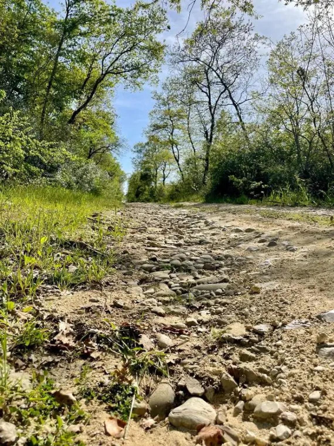 Elezioni Universit&agrave; Agraria Tarquinia, Fanucci: &laquo;Il patrimonio dell&rsquo;ente non pu&ograve; essere abbandonato a s&eacute; stesso&raquo;