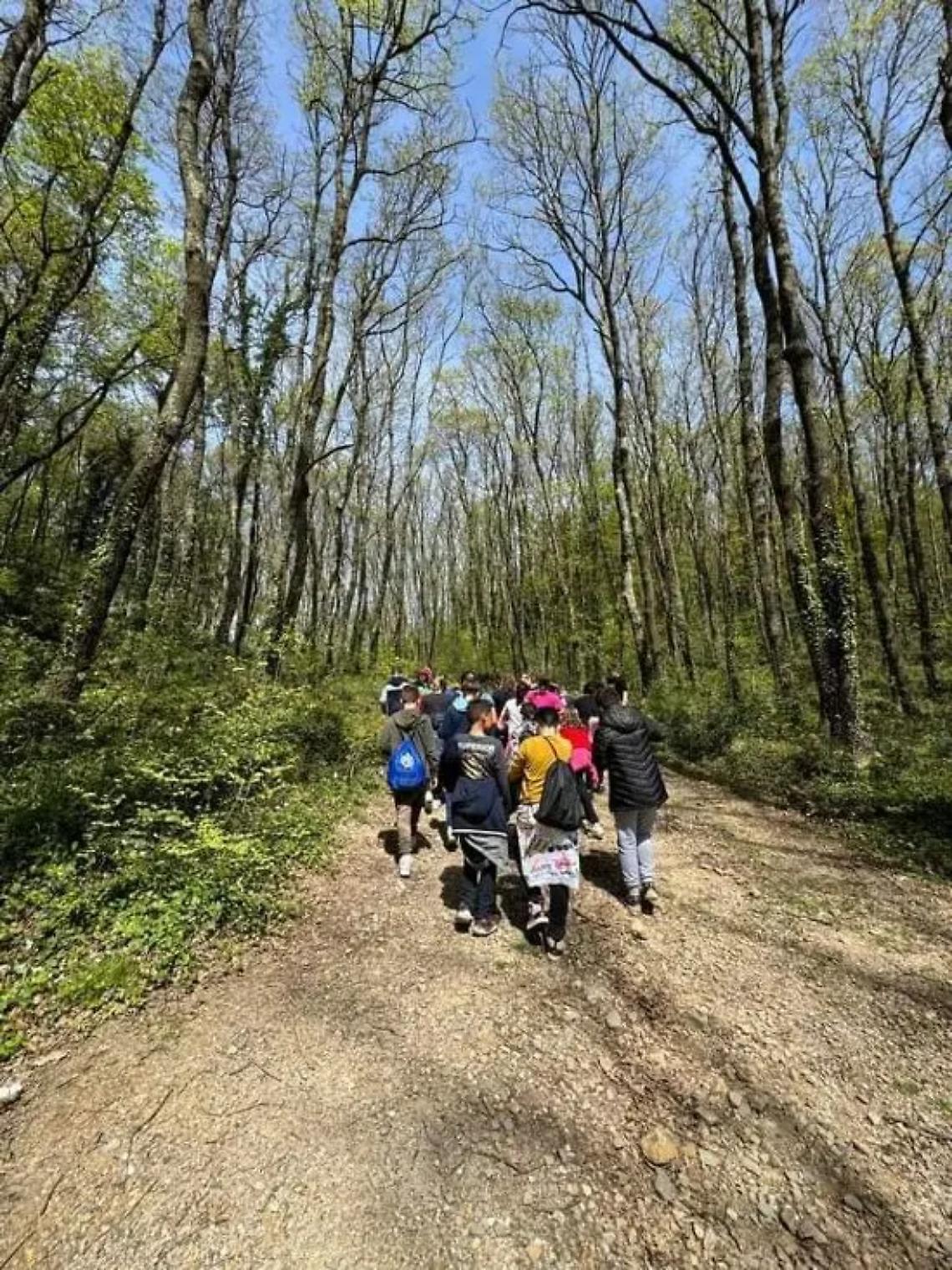 Percorsi tra la natura alla scoperta del meraviglioso ecosistema collinare