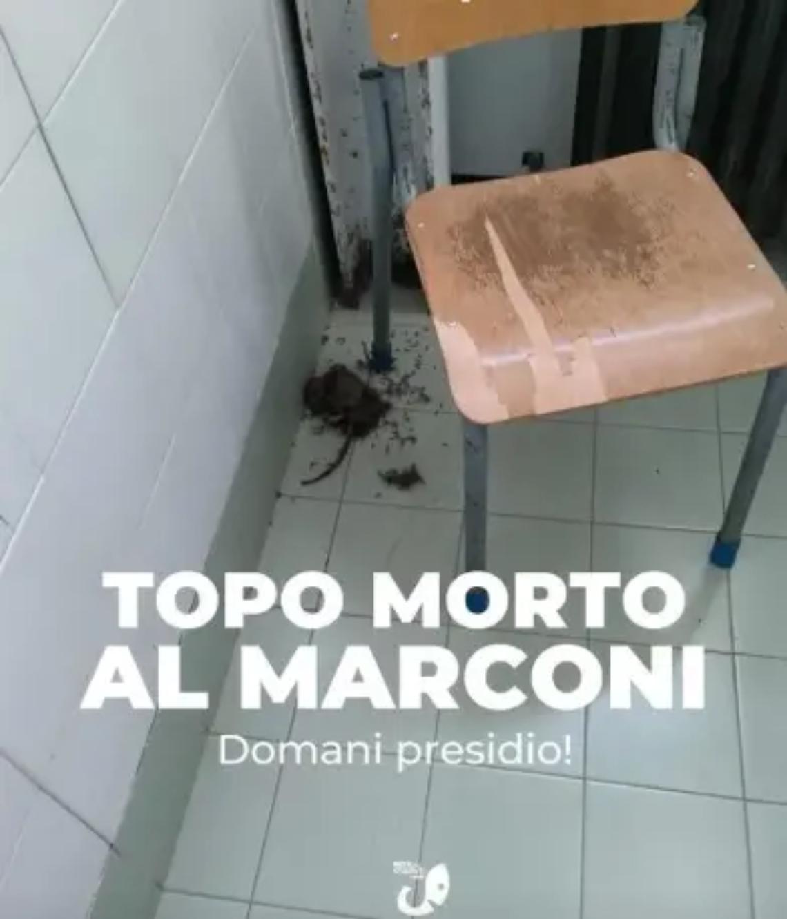 Marconi, topo morto in bagno: la protesta degli studenti