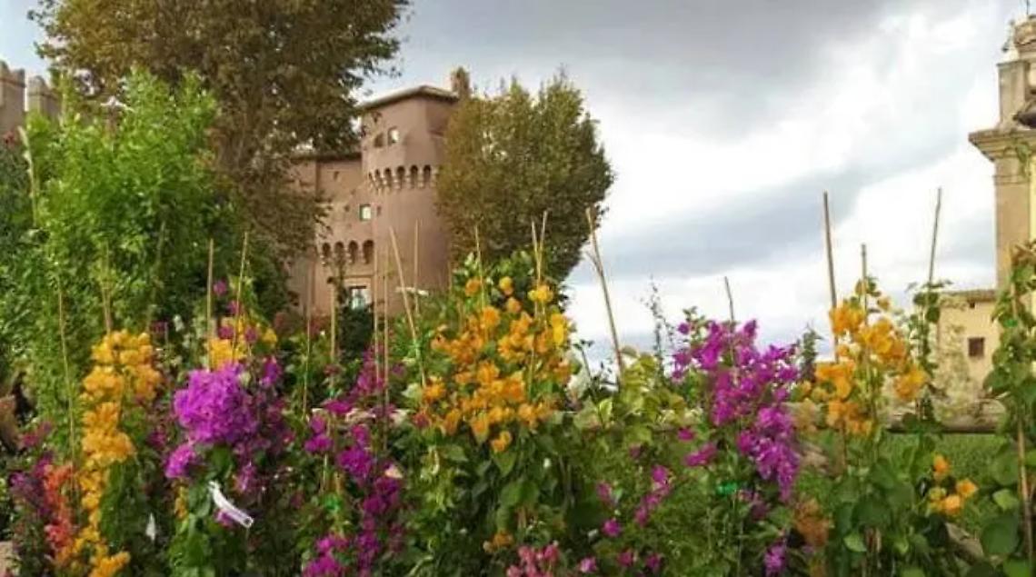 Tante iniziative previste per il weekend