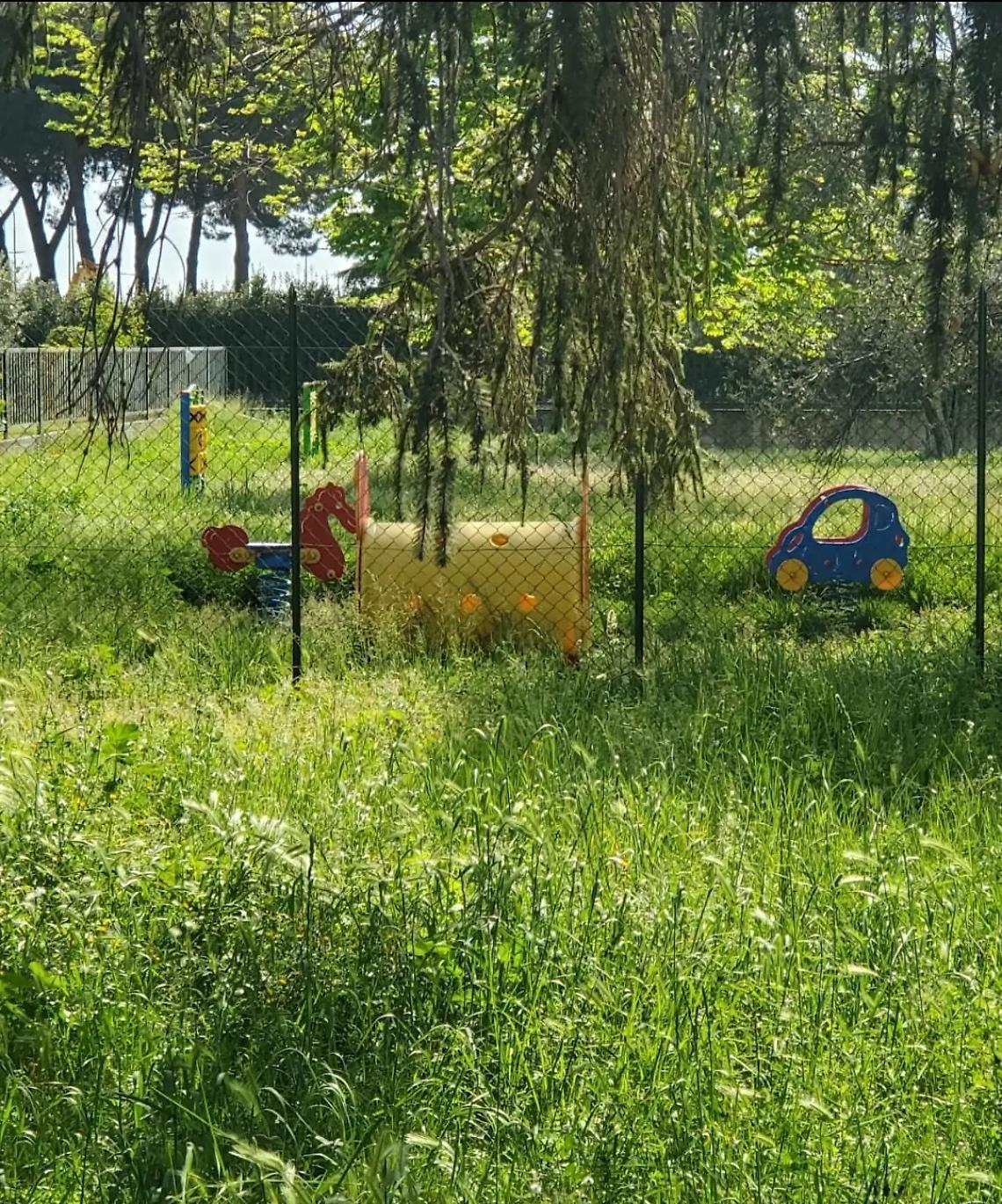 Viterbo, erba alta nei giardini delle scuole