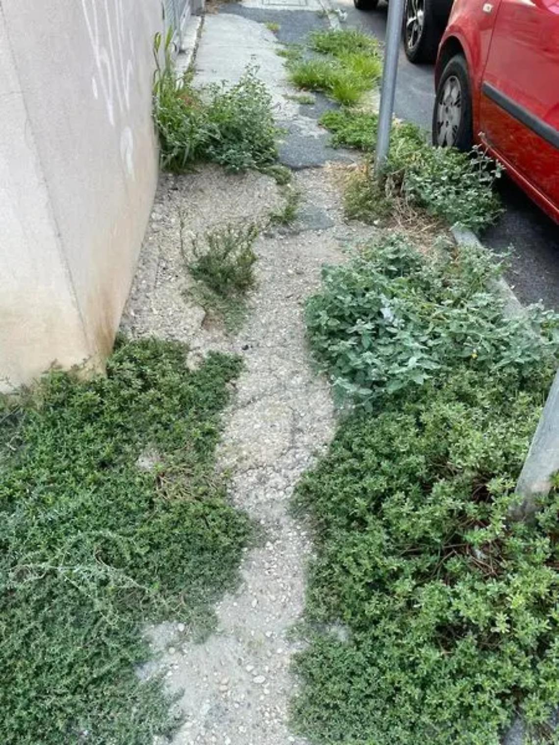 Pulizia sui marciapiedi, residenti multati