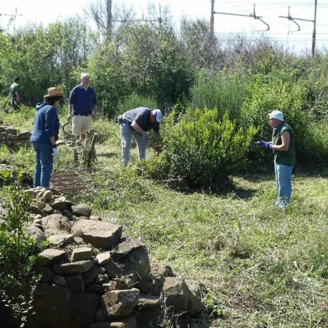 Grande intervento di ripulitura dei resti del santuario etrusco di Punta della Vipera