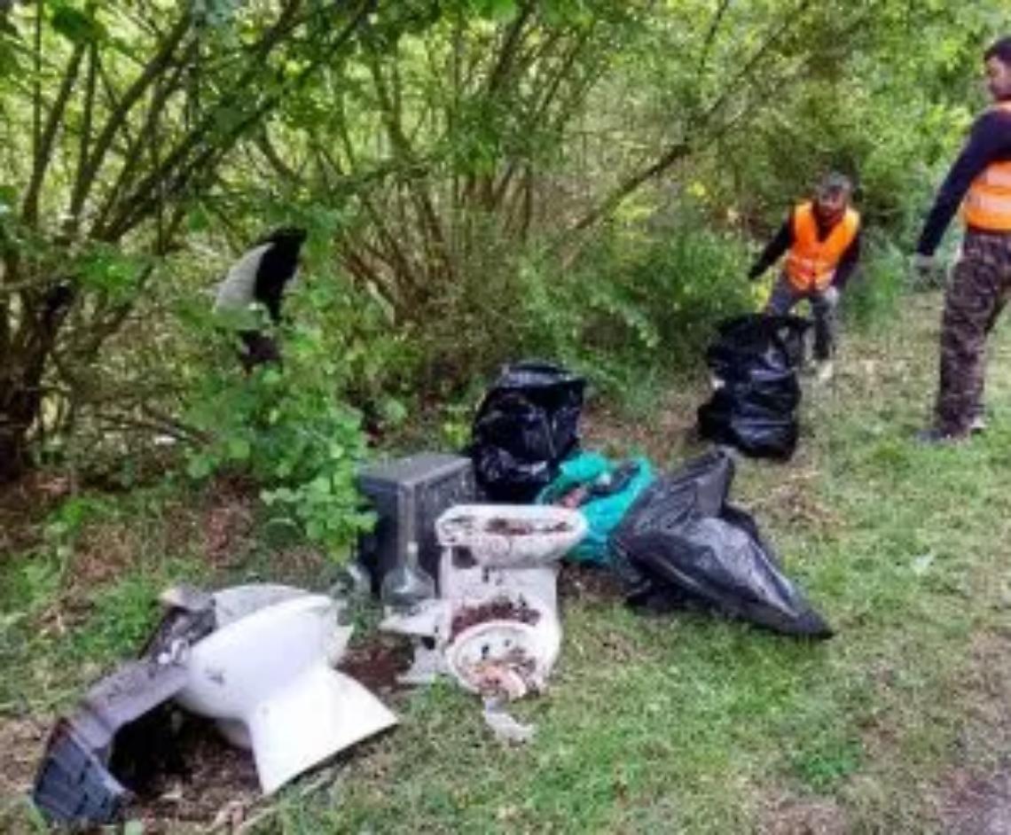 Provinciale 35, ripulita una parte di bosco