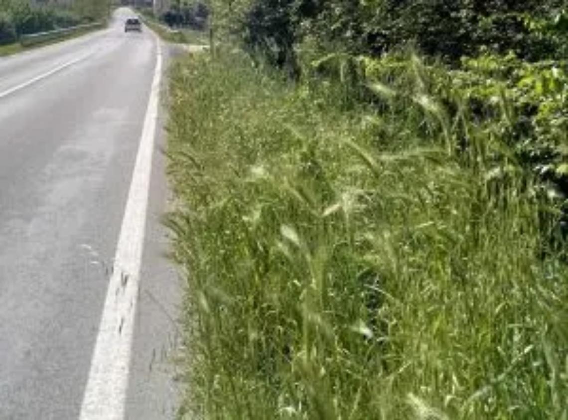 La Lega attacca la maggioranza: &laquo;Paese nel degrado&raquo;