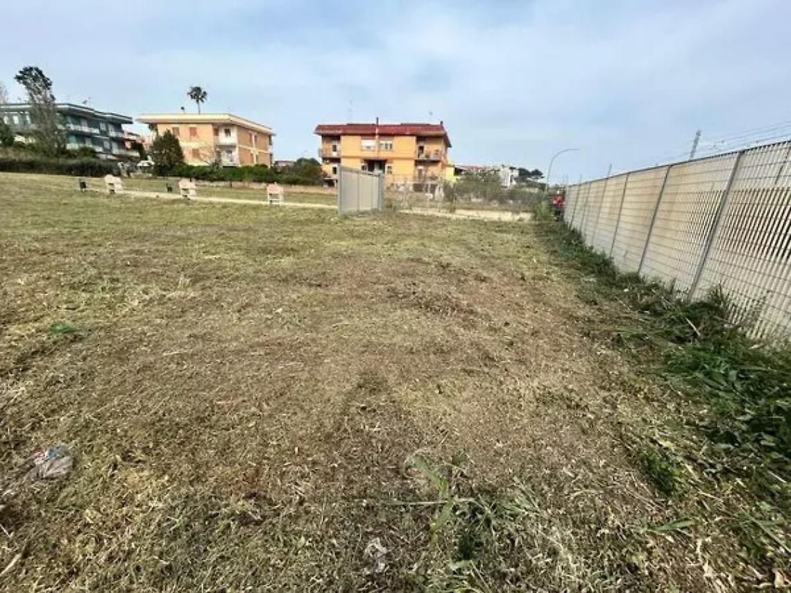 Nuove piante per il parco della Quartaccia