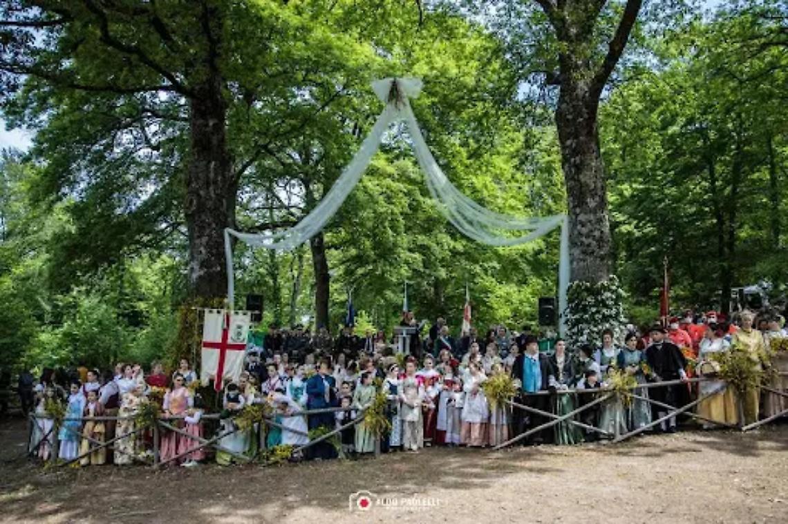 Tradizione e passione per il territorio: torna lo sposalizio dell&rsquo;albero con il corteo storico da Montefogliano