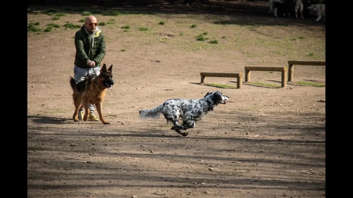 A Palo &egrave; il giorno di &ldquo;Corri con Fido&rdquo;