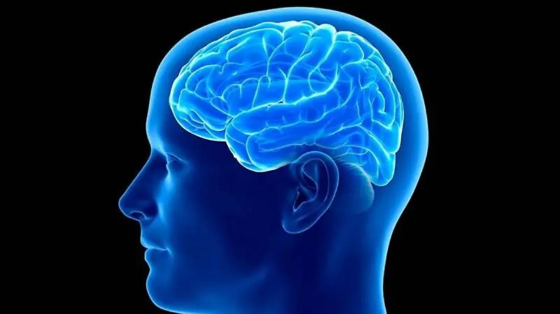 In Aula consiliare il congresso nazionale della &ldquo;Societ&agrave; italiana di Neuropatologia e Neurobiologia clinica&rdquo;
