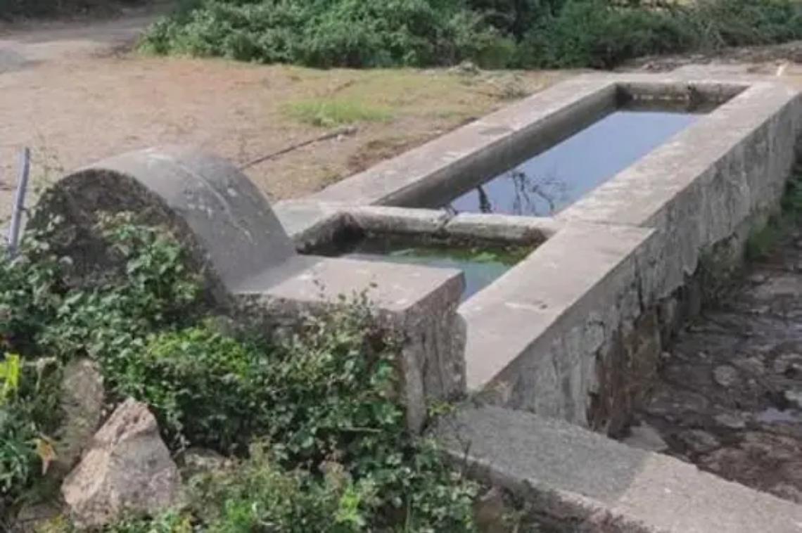 &ldquo;The walking Deb&rdquo;, bene la seconda edizione del progetto