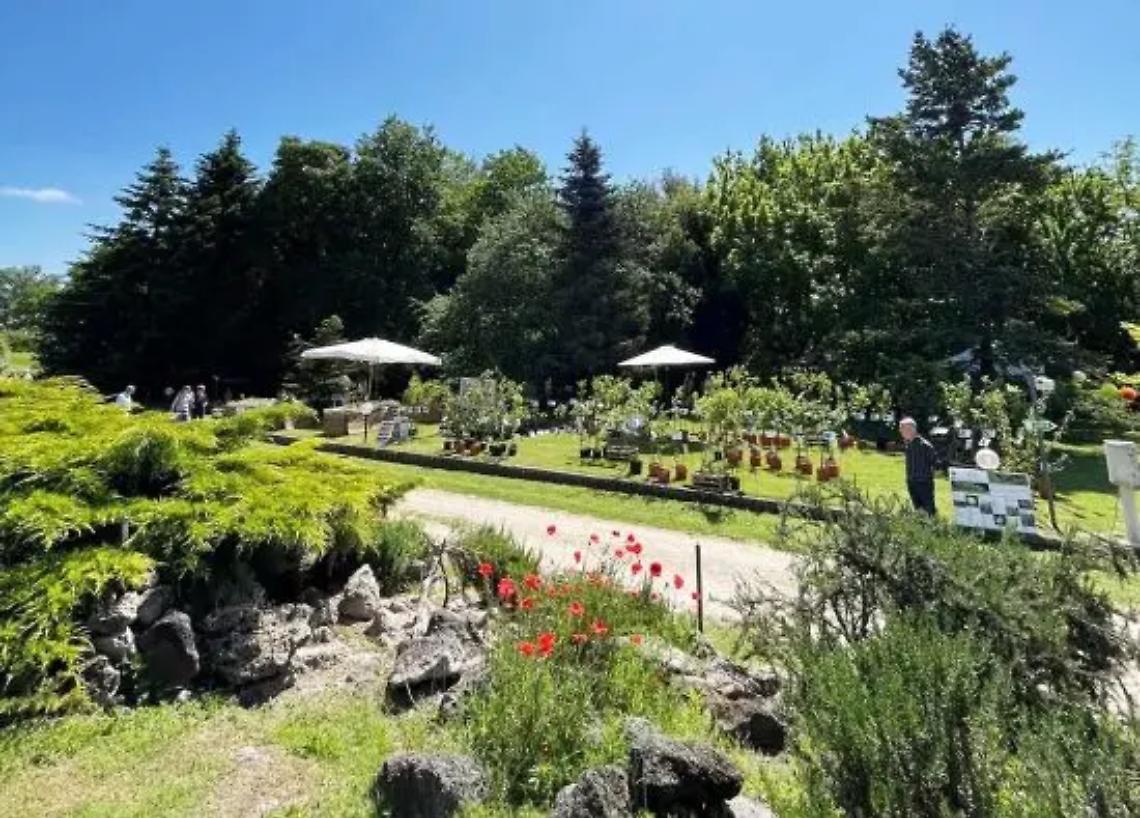 Torna la terza edizione di Aromataria