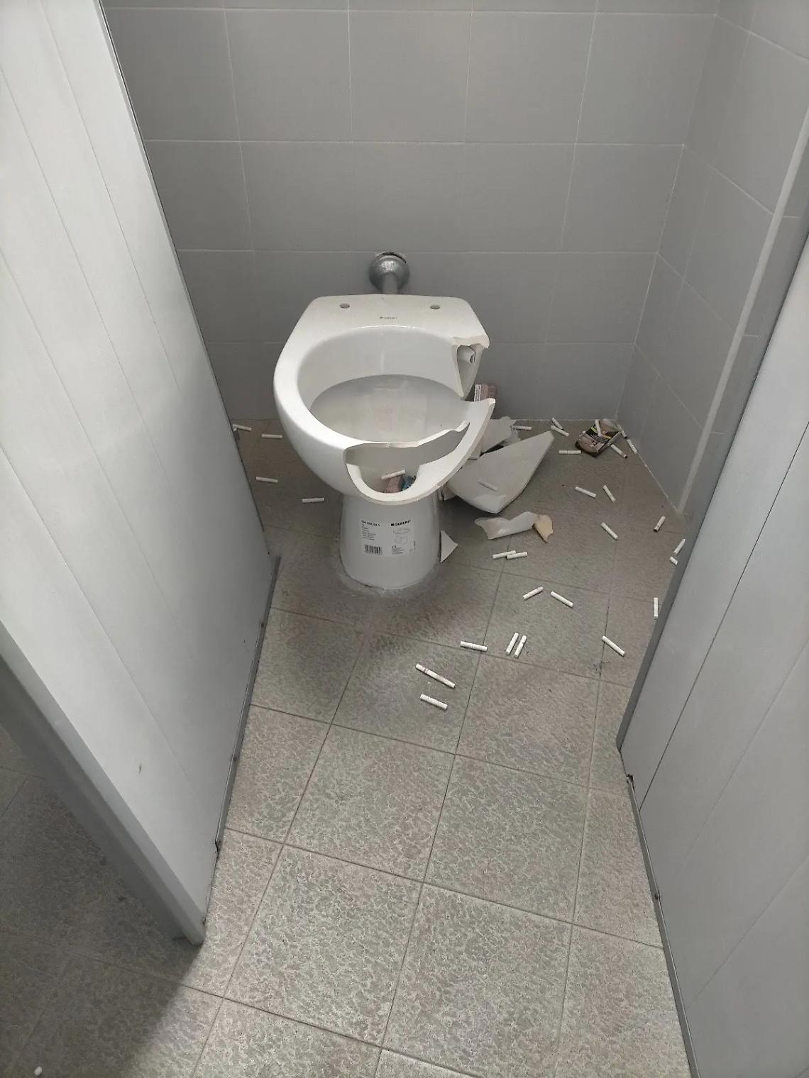 Vandalizzati i bagni del Paolo Savi. Romoli: &laquo;Ora basta, chi rompe paga&raquo;