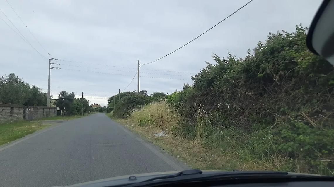 &laquo;Erba incolta e sterpaglie, pericolo a via di Zambra&raquo;