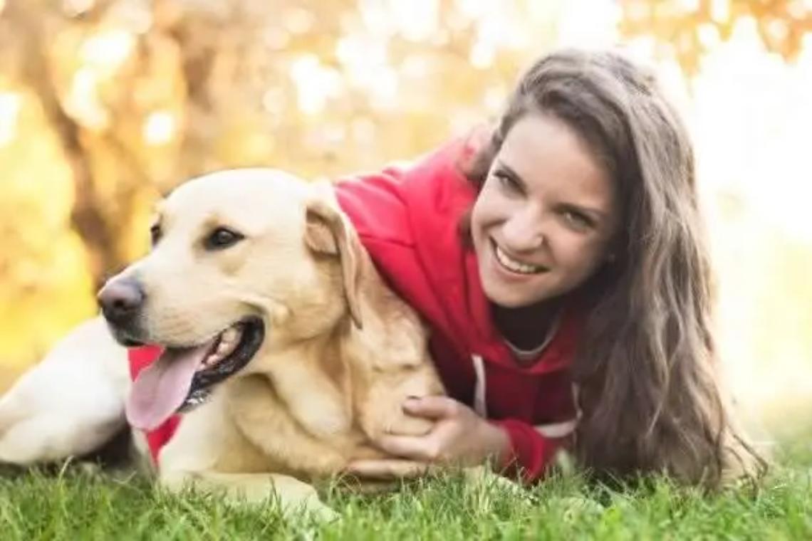 Un percorso formativo di base per proprietari di cani