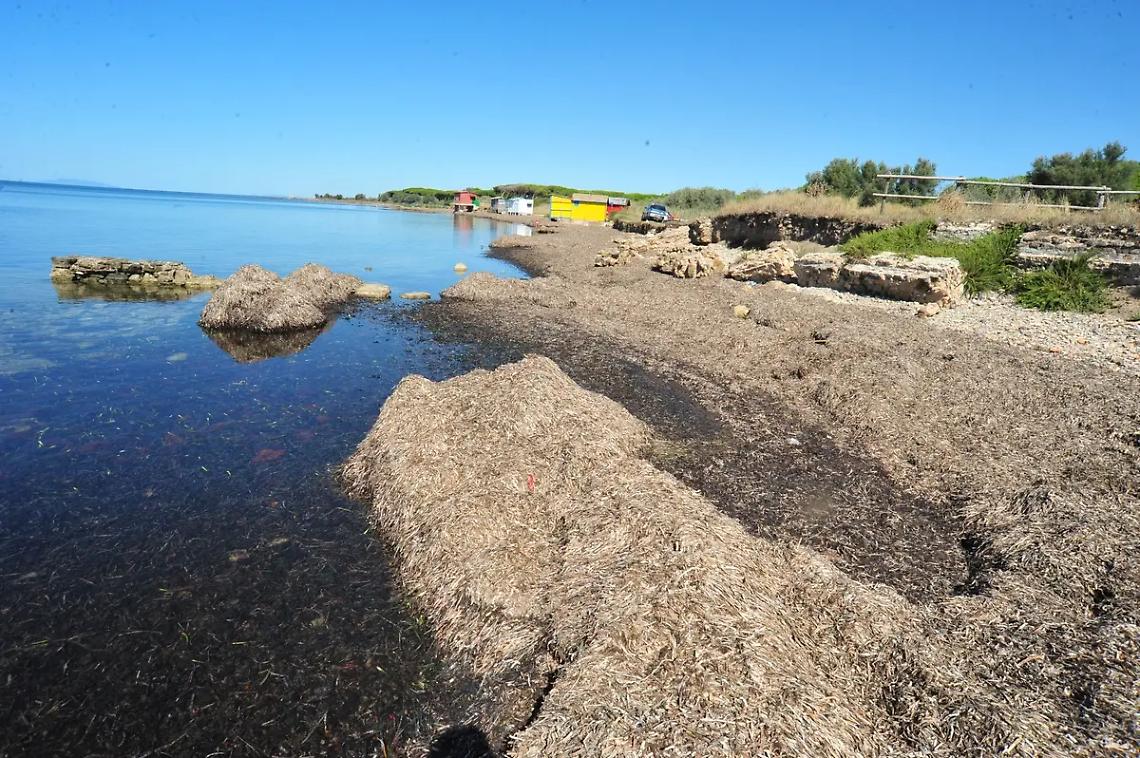 Pulifondali e pulispiagge: a Civitavecchia l&rsquo;appuntamento &egrave; alla Frasca