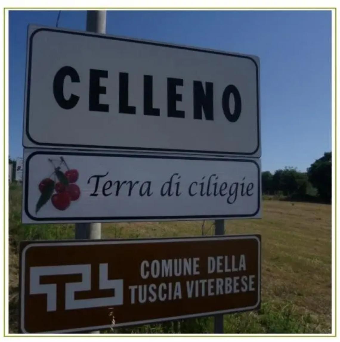 La ciliegia pi&ugrave; buona d&rsquo;Italia viene dalla Tuscia